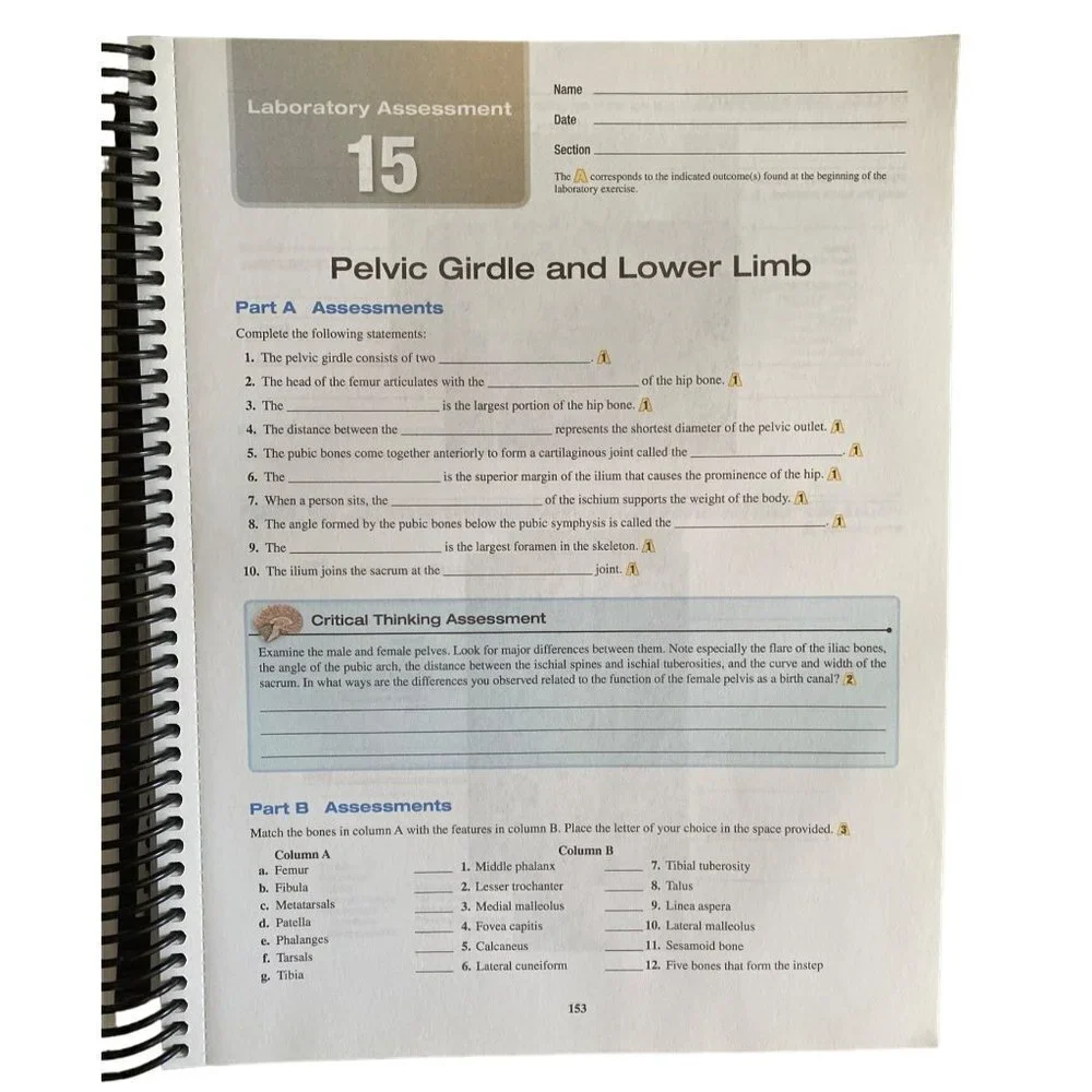 Laboratory Manual for Human Anatomy Physiology 2 Ed‎ Terry R Martin Spiral Bound